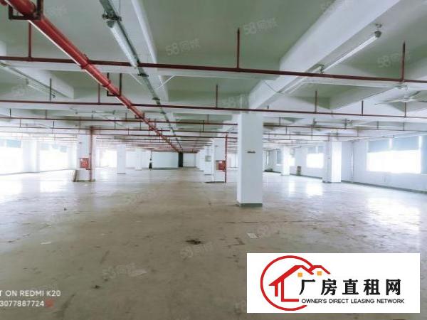  浸校塘自建新工业园厂房