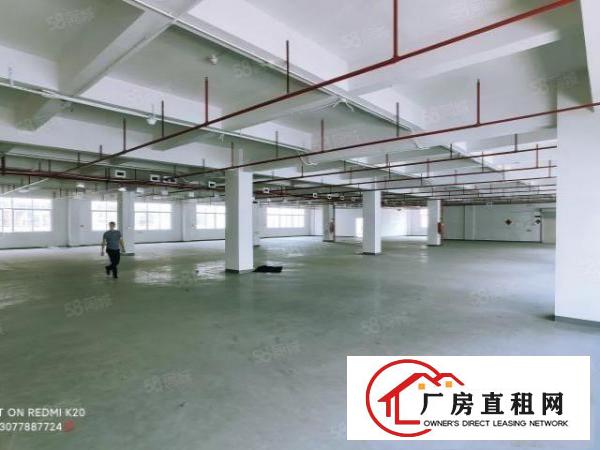  浸校塘自建新工业园厂房