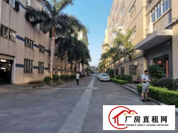  凤岗雁田新出楼上3200平花园式超大空地厂房出租200平起租