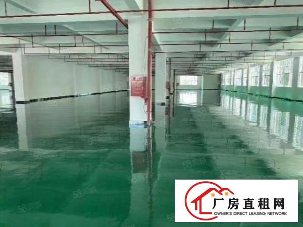  凤岗工业园空出2楼2200方带豪华装修可分半招租