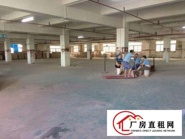  凤岗镇.临深片区独门独院厂房6400平原业主低价交通便利