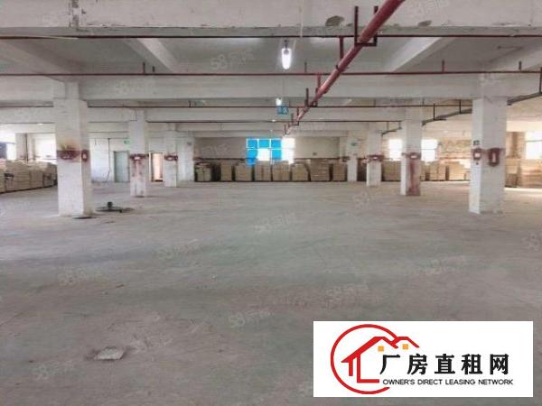  凤岗镇.临深片区独门独院厂房6400平原业主低价交通便利