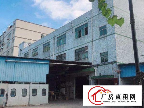  凤岗镇.临深片区独门独院厂房6400平原业主低价交通便利