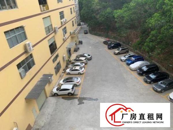  凤岗靠山边可做污染喷油抛光抽粒厂房500平起租，可办环评
