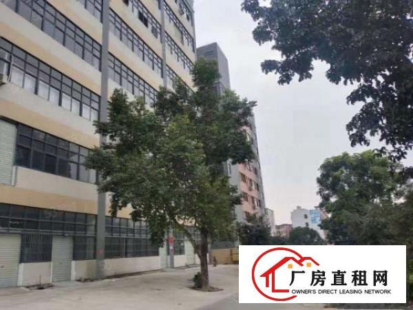  凤岗一楼和楼上小面积150平250平300平带装修厂房出租