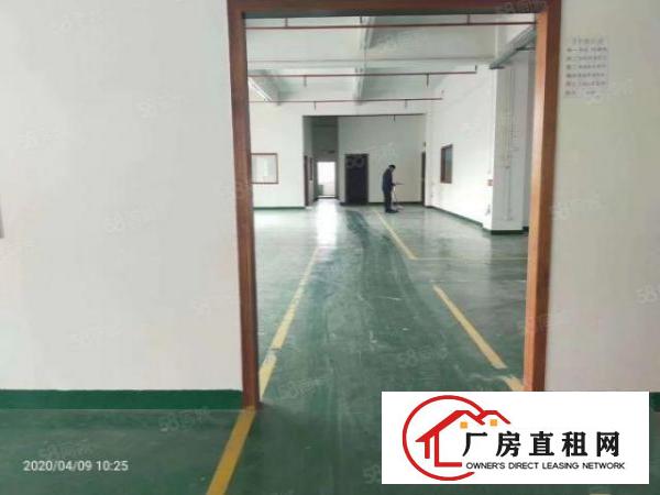  凤岗工业园空出5楼厂房1900平方带装修14元