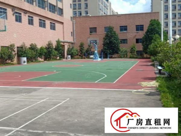  豪华装修免费送业主直接出租办公型及小加工类企业基地200平米