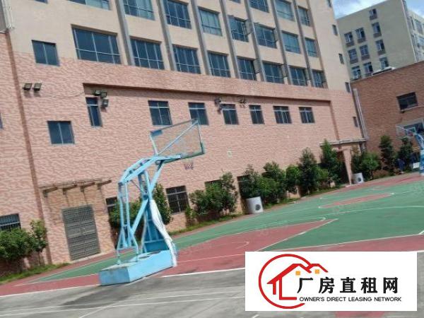  豪华装修免费送业主直接出租办公型及小加工类企业基地200平米