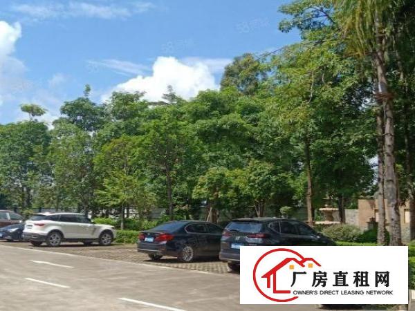  豪华装修免费送业主直接出租办公型及小加工类企业基地200平米