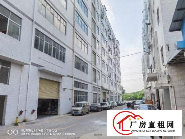  凤岗浸校塘厂房出租1900平方，现成装修，可分租