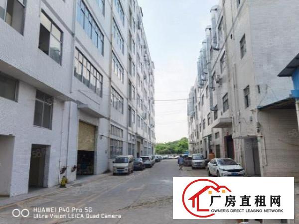  凤岗浸校塘厂房出租1900平方，现成装修，可分租