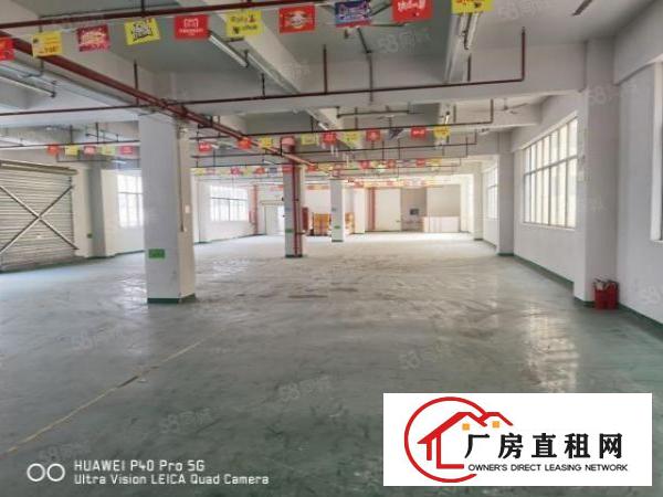  凤岗浸校塘厂房出租1900平方，现成装修，可分租