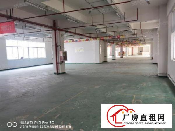  凤岗浸校塘厂房出租1900平方，现成装修，可分租