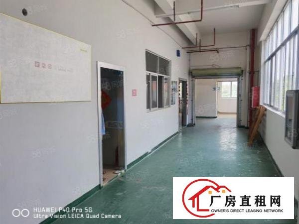  凤岗浸校塘厂房出租1900平方，现成装修，可分租