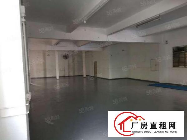  雁田布心工业区一楼480平水电齐全全新地坪漆可做任何行业