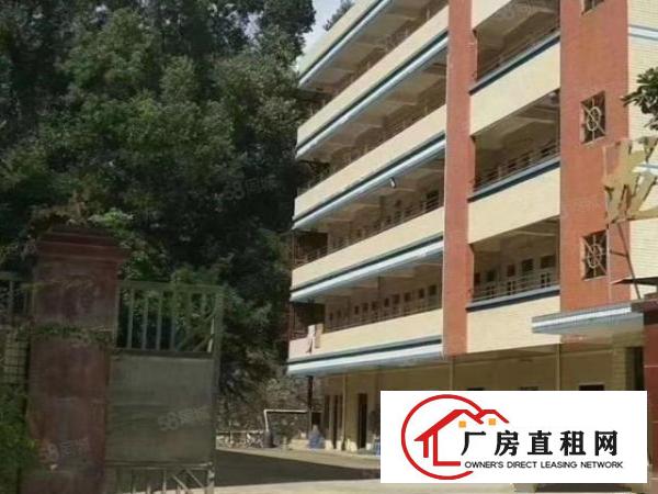  6000平方独院现成装修