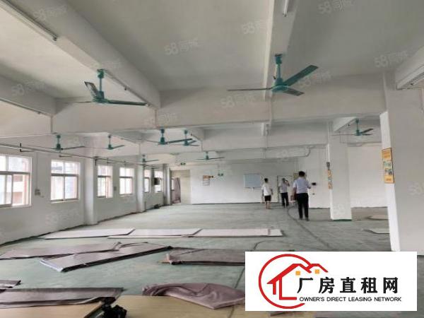  凤岗雁田布心工业区200小面积带装修水电到位仓库厂房出租合租