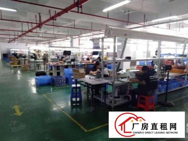  凤岗金凤凰工业区3楼上空出原房东精装修1200平厂房出租