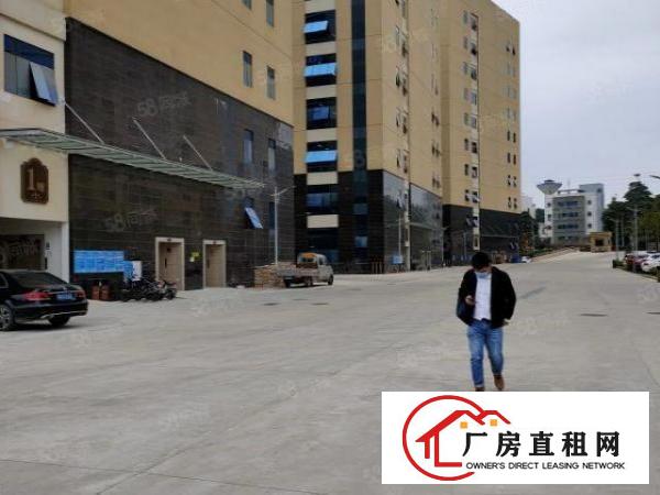  凤岗五联工业路全新原房东楼上厂房出租3200平.可过环评。