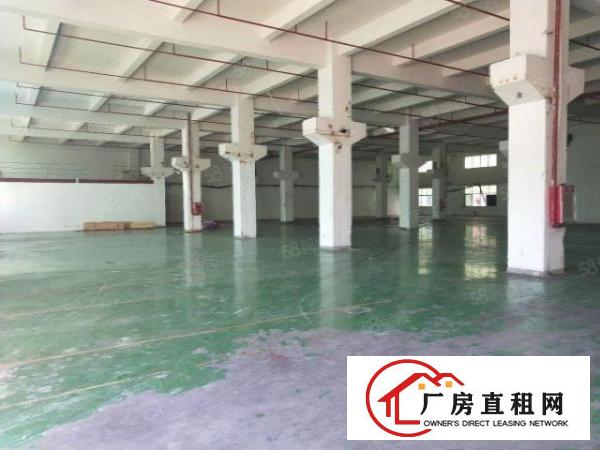  凤岗工业园空出7米高一楼2600带牛角装修降价出租