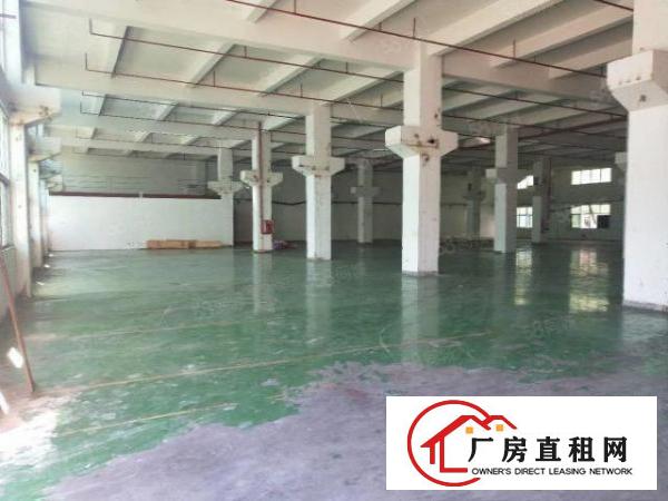  凤岗工业园空出7米高一楼2600带牛角装修降价出租