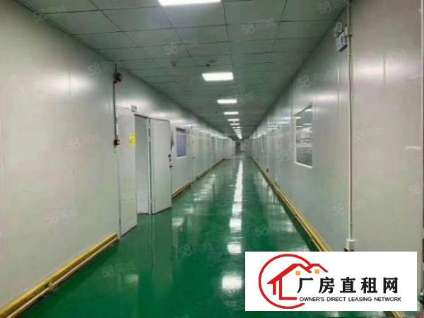 凤岗标准厂房楼上现成装修水电齐全680平起租