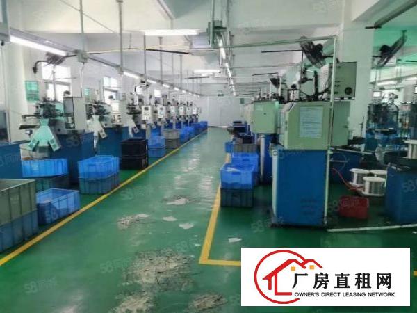  天堂围新出楼上原房东厂房出租1000平