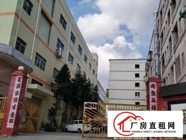 凤岗金凤凰原房东一楼800平厂房出租，水电齐全，带现成行车