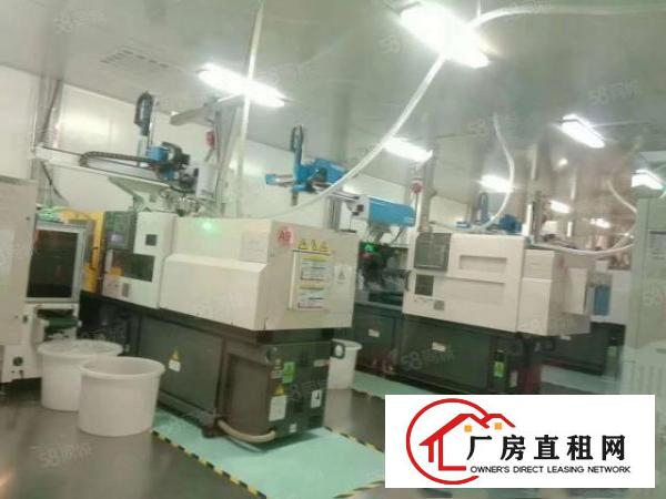  凤岗金凤凰原房东一楼800平厂房出租，水电齐全，带现成行车