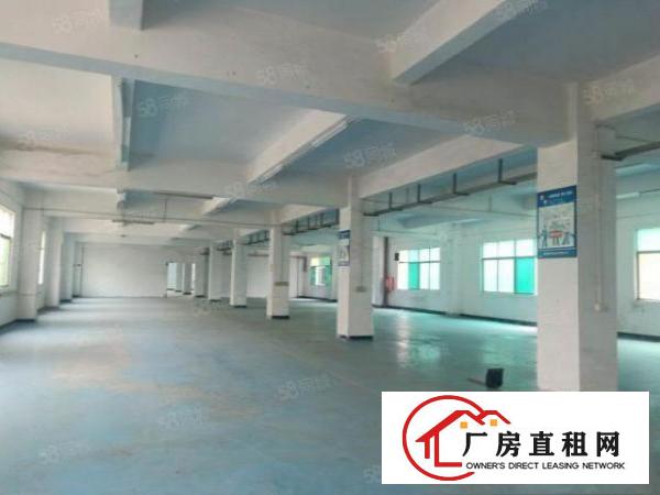  凤岗雁田汇鸿工业区3万平方独院整栋厂房出租空地出租无尘车间