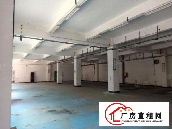  凤岗雁田汇鸿工业区3万平方独院整栋厂房出租空地出租无尘车间