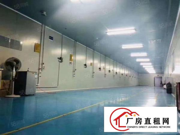  凤岗雁田花园式厂房出租，单层面积6000平方，每层豪华装修。