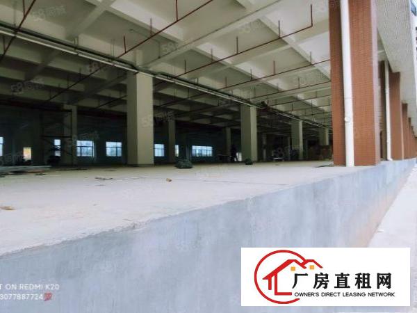  浸校塘红本全新工业厂房(可以分租价格实惠)