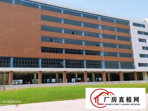  浸校塘红本全新工业厂房(可以分租价格实惠)