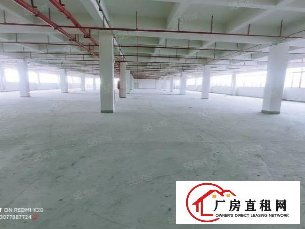  浸校塘红本全新工业厂房(可以分租价格实惠)