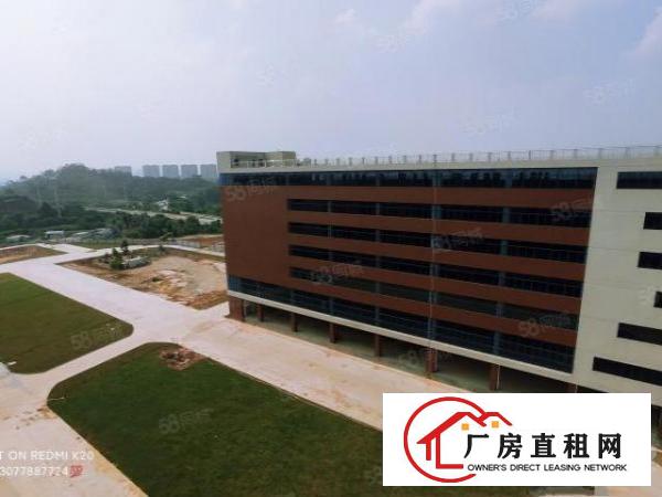  浸校塘红本全新工业厂房(可以分租价格实惠)
