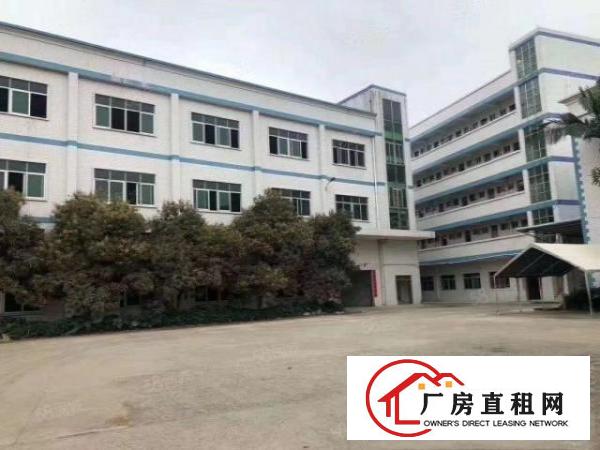  凤岗新出3800平方独院厂房火爆招租（可分租）