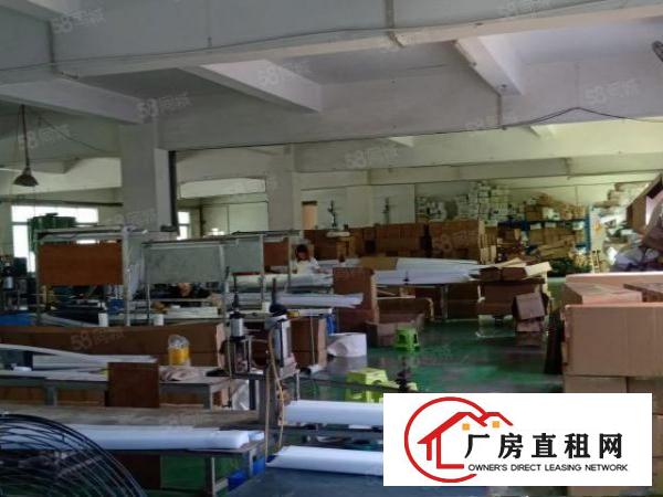  金凤凰工业区新出独院厂房三楼整层1300平米带办公室水电装修