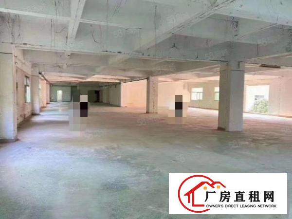  凤岗油甘埔原房东二三楼现成装修办公室各3000平厂房出租