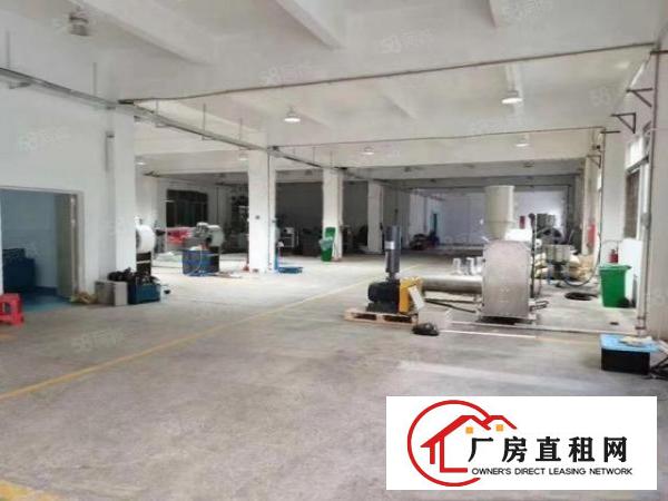  凤岗油甘埔工业区新出原房东一楼标准厂房1500平方带卸货台