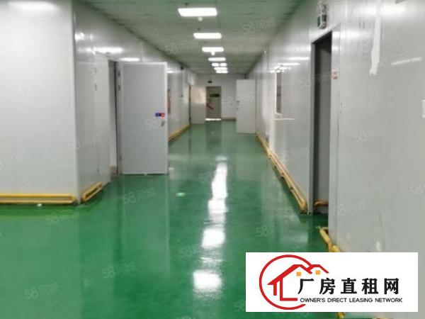  凤岗福民工业区新出楼上6020平无尘车间无需转让费厂房出租