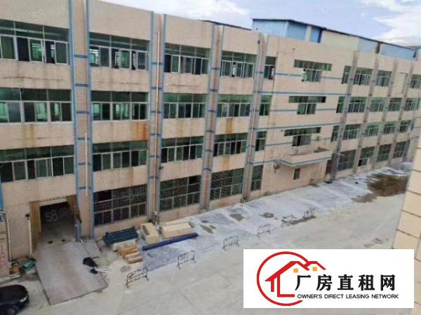  凤岗五联新出楼上2500平出租可分租水电齐全