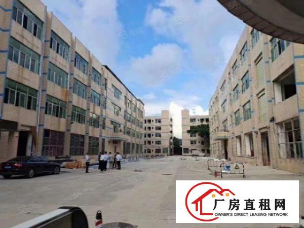  凤岗五联新出楼上2500平出租可分租水电齐全