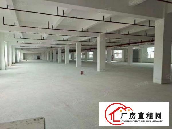  凤岗五联新出楼上2500平出租可分租水电齐全