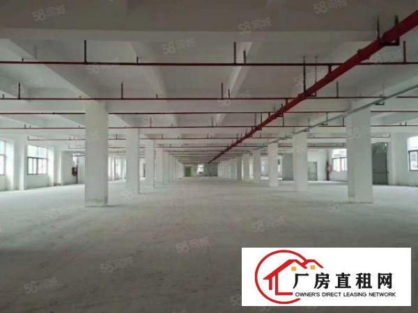  凤岗五联新出楼上2500平出租可分租水电齐全