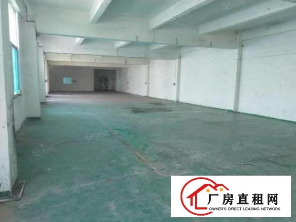  凤岗五联750平标准厂房出租含简易装修办公室地坪漆
