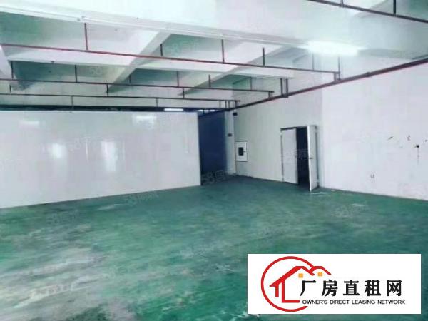  凤岗工业园带装修地坪漆厂房楼上出租1500平方出租配套齐全