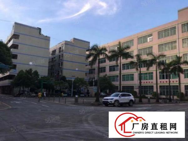  凤岗官井头原房东2000平超大空地花园厂房带红本200起分