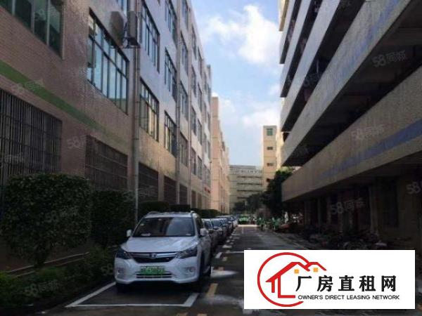  凤岗官井头原房东2000平超大空地花园厂房带红本200起分