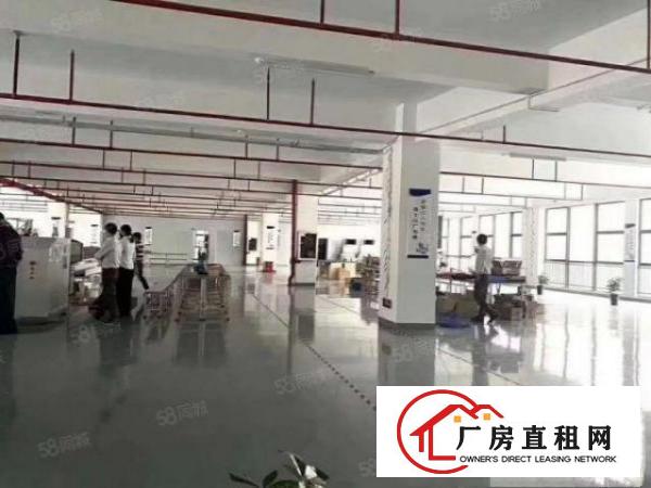 凤岗官井头原房东2000平超大空地花园厂房带红本200起分